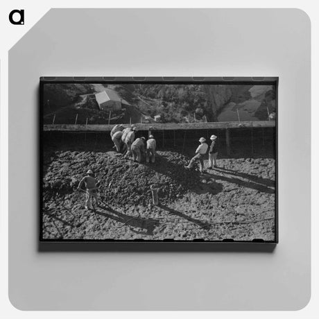 アートパネル-Shasta Dam Construction
 - ラッセル リー Canvas.