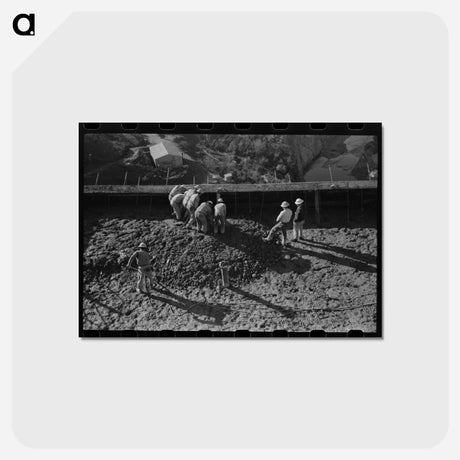 アートポストカード-Shasta Dam Construction
 - ラッセル リー Postcard.