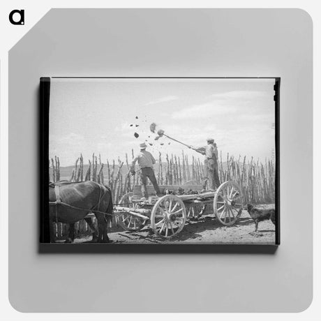 アートパネル-Throwing Manure Over the Fence
 - ラッセル リー Canvas.