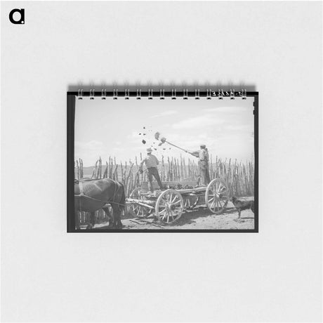 アートメモ帳-Throwing Manure Over the Fence
 - ラッセル リー Memo.