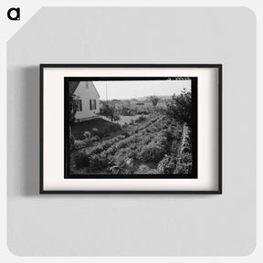 アートポスター-Longview Homestead Project - ドロテア ラング Poster.