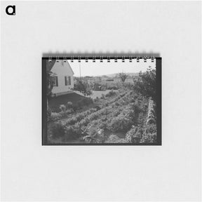 アートメモ帳-Longview Homestead Project - ドロテア ラング Memo.