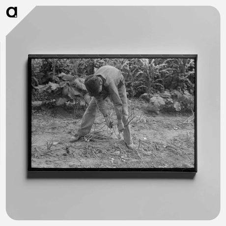 アートパネル-Pulling Up Onions
 - ラッセル リー Canvas.