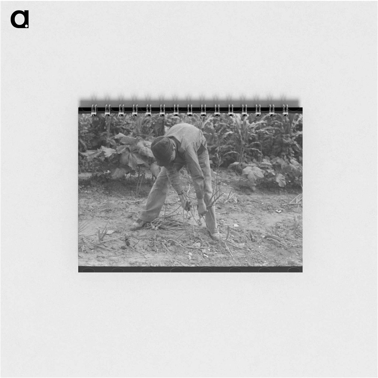 アートメモ帳-Pulling Up Onions
 - ラッセル リー Memo.