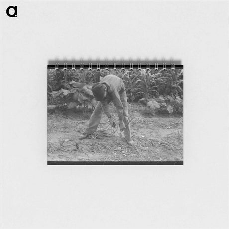 アートメモ帳-Pulling Up Onions
 - ラッセル リー Memo.