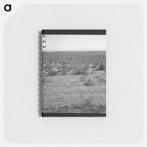 アートメモ帳-Untitled photo - ドロテア ラング Memo.