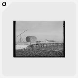 アートポストカード-Dairy Cattle on Black Canyon Farm
 - ラッセル リー Postcard.