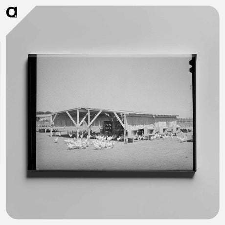 アートパネル-Chicken Shelter, Chandler Unit
 - ラッセル リー Canvas.