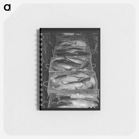 アートメモ帳-Tuna in Ice
 - ラッセル リー Memo.