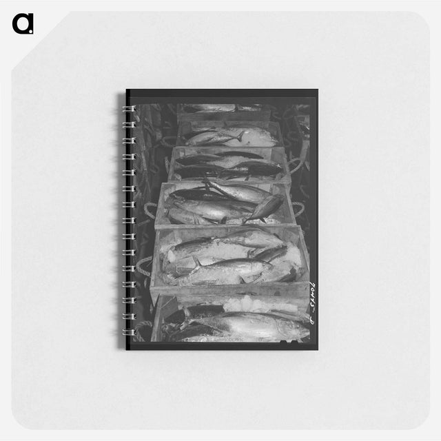 アートメモ帳-Tuna in Ice
 - ラッセル リー Memo.