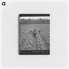 アートメモ帳-Untitled photo - ドロテア ラング Memo.