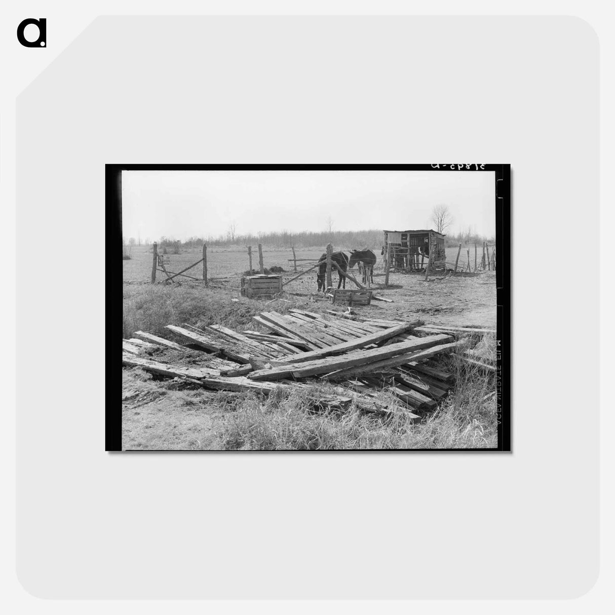 アートポストカード-Crossing Over Ditch
 - ラッセル リー Postcard.