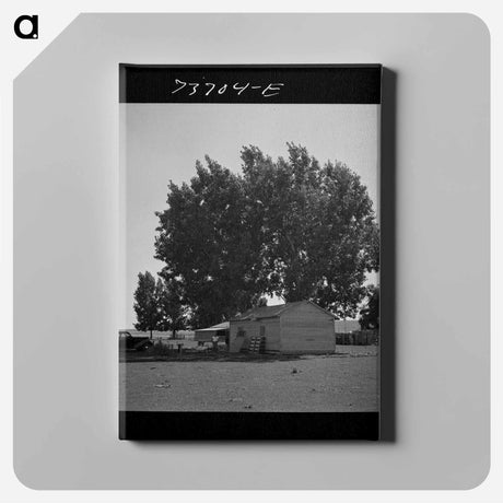アートパネル-House for a Japanese-American Family
 - ラッセル リー Canvas.