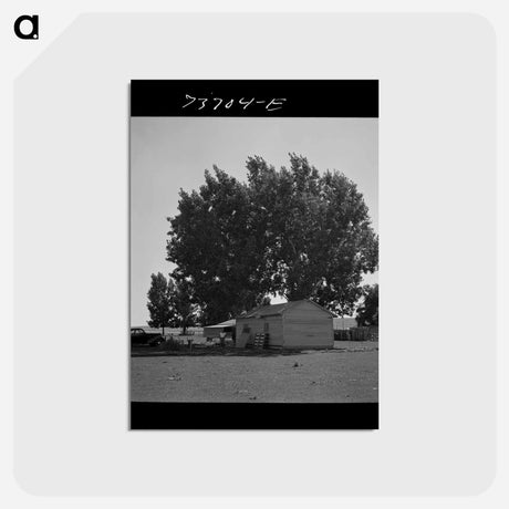 アートポストカード-House for a Japanese-American Family
 - ラッセル リー Postcard.