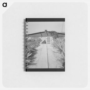 アートメモ帳-Home of one of the Stephens brothers - ドロテア ラング Memo.