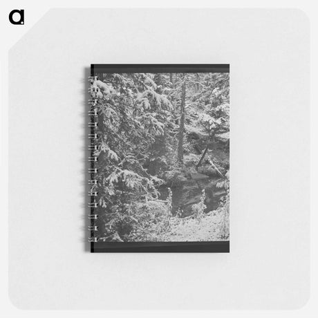 アートメモ帳-First Snow in Montana
 - ラッセル リー Memo.