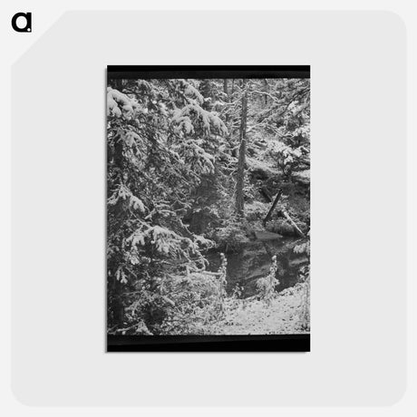 アートポストカード-First Snow in Montana
 - ラッセル リー Postcard.