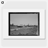 Approach to the Delta cooperative farm from highway, cooperative store in foreground. Hillhouse, Mississippi. Sourced from the Library of Congress. - Dorothea Lange Poster.