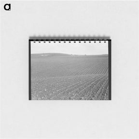 アートメモ帳-Untitled photo - ドロテア ラング Memo.