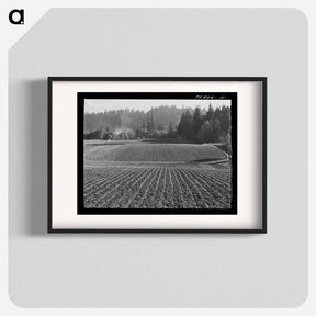 アートポスター-Fall Spinach, Willamette Valley
 - ラッセル リー Poster.