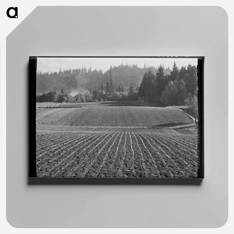 アートパネル-Fall Spinach, Willamette Valley
 - ラッセル リー Canvas.