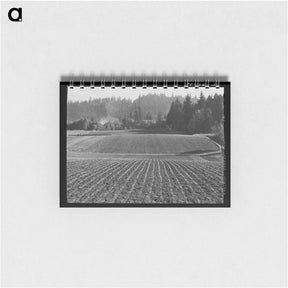 アートメモ帳-Fall Spinach, Willamette Valley
 - ラッセル リー Memo.