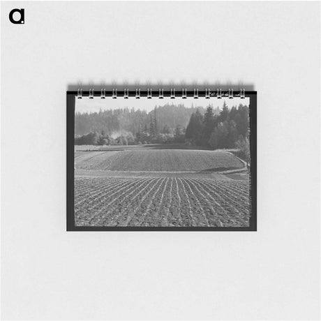アートメモ帳-Fall Spinach, Willamette Valley
 - ラッセル リー Memo.