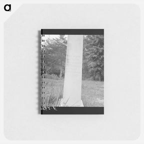 アートメモ帳-Untitled photo - ドロテア ラング Memo.