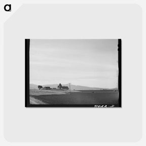 アートポストカード-Harrowing the Bean Field
 - ラッセル リー Postcard.