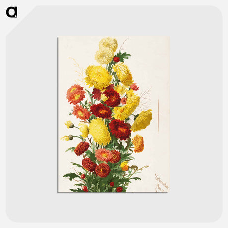 アートポストカード-Yellow and Red Chrysanthemums
 - ボストン公共図書館 Postcard.