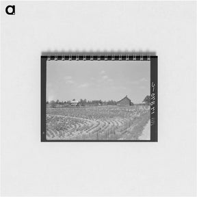 アートメモ帳-Sharecrop farm, Gaffney, South Carolina - ドロテア ラング Memo.
