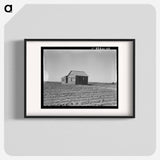 Cultivated fields and abandoned tenant house - Dorothea Lange Poster.