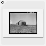 Cultivated fields and abandoned tenant house - Dorothea Lange Poster.