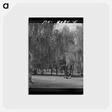 アートポストカード-Columbia Gardens
 - ラッセル リー Postcard.