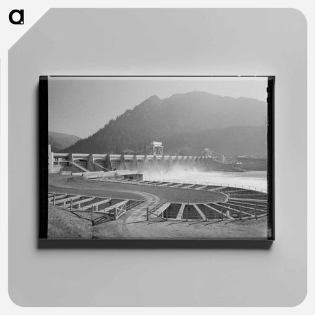 アートパネル-Bonneville Dam and Fish Ladders
 - ラッセル リー Canvas.