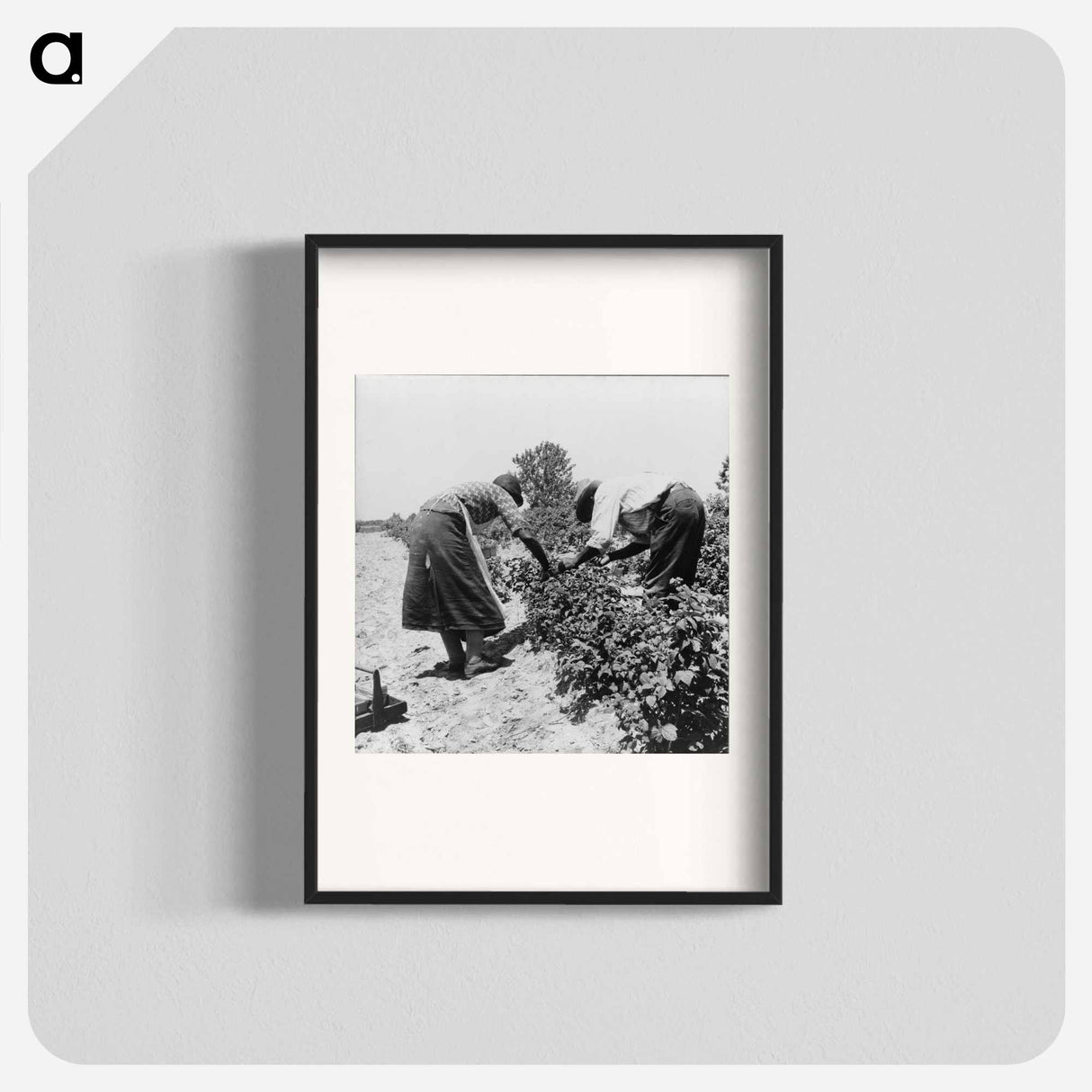 Berry pickers - Dorothea Lange Poster.