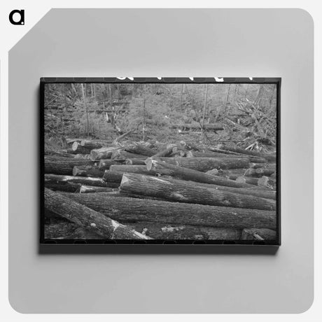 アートパネル-Long Bell Lumbering Company Woods Operations
 - ラッセル リー Canvas.