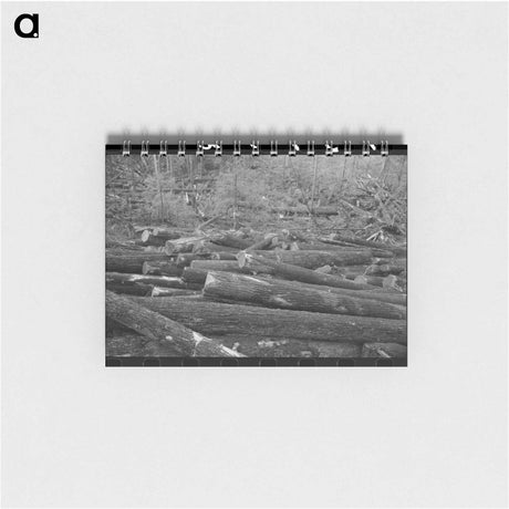 アートメモ帳-Long Bell Lumbering Company Woods Operations
 - ラッセル リー Memo.