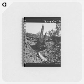 アートメモ帳-Stumps on Nieman farm - ドロテア ラング Memo.