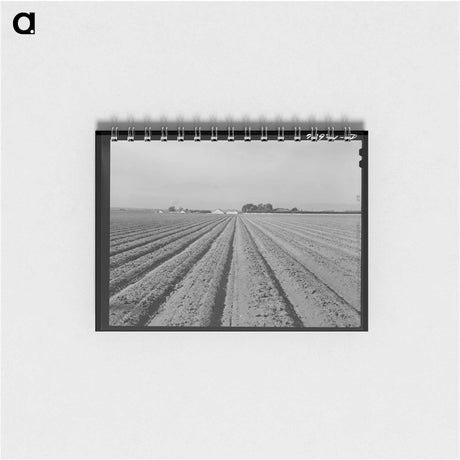 アートメモ帳-Lettuce Land
 - ラッセル リー Memo.
