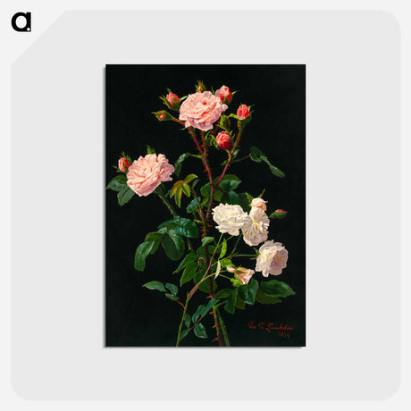アートポストカード-Pink and White Roses
 - ボストン公共図書館 Postcard.