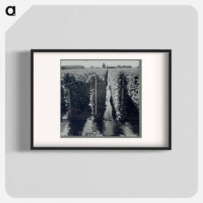 アートポスター-West Stayton (vicinity) Marion County, Ore. Migratory bean pickers. Beanfield, showing irrigation. - ドロテア ラング Poster.