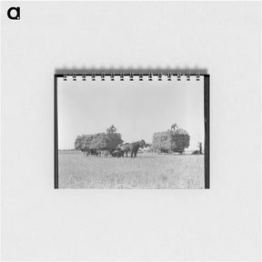 アートメモ帳-Untitled photo, possibly related to: Harvesting oats. Clayton, Indiana - ドロテア ラング Memo.