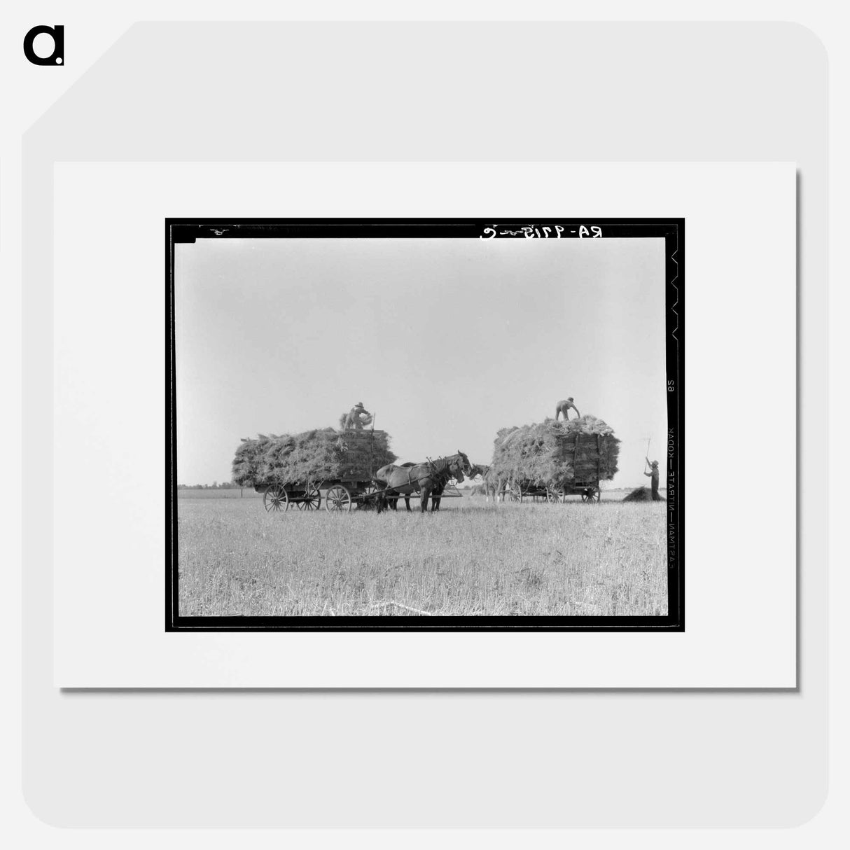 Untitled photo, possibly related to: Harvesting oats. Clayton, Indiana - Dorothea Lange Poster.