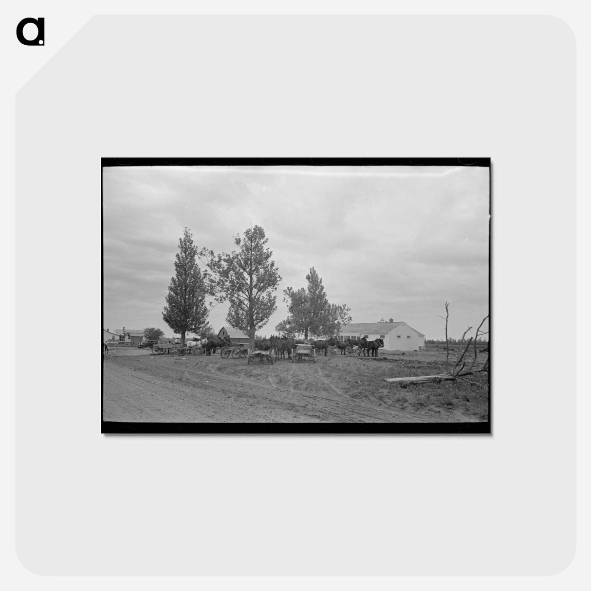 アートポストカード-New Madrid County FSA Client
 - ラッセル リー Postcard.