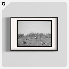 アートポスター-Clearing Land, San Angelo
 - ラッセル リー Poster.