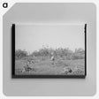 アートパネル-Clearing Land, San Angelo
 - ラッセル リー Canvas.
