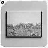 アートパネル-Clearing Land, San Angelo
 - ラッセル リー Canvas.