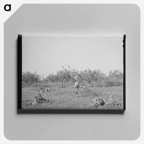 アートパネル-Clearing Land, San Angelo
 - ラッセル リー Canvas.