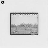 アートメモ帳-Clearing Land, San Angelo
 - ラッセル リー Memo.